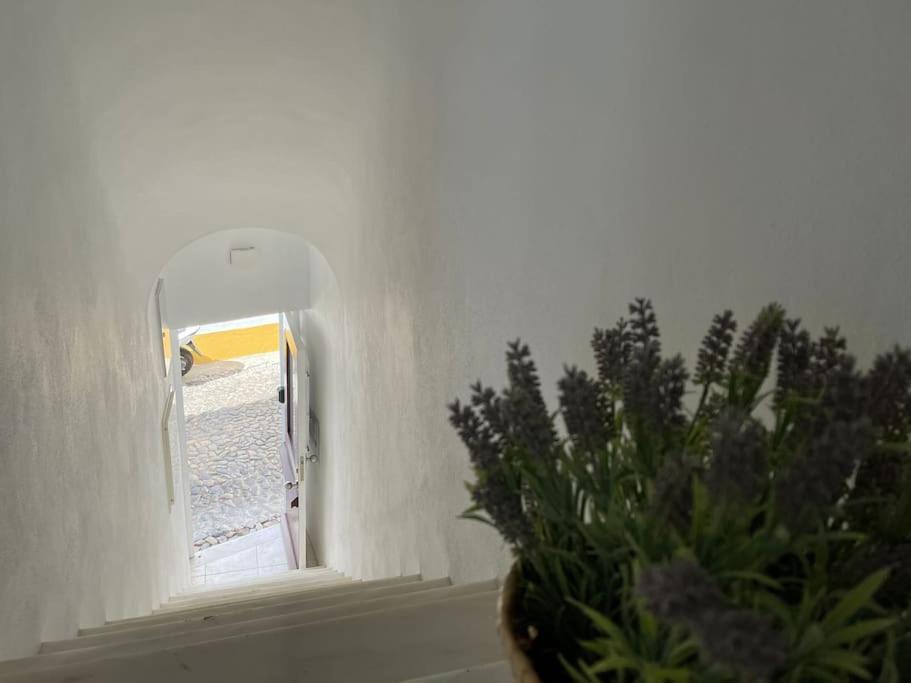 에보라 Casa Da Oliveira 아파트 외부 사진